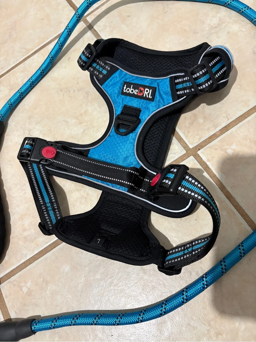 Blue Dog Large Harness and Leash Set